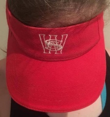 Visor